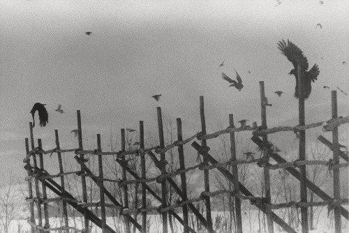 Masahisa Fukase aka 深瀬 昌久 aka Fukase Masahisa (Japanese, 1934-2012, b. Bifuka, Hokkaido, Japan) - Fr