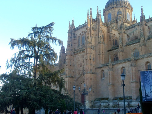 Catedral Nueva, Salamanca, Spain.