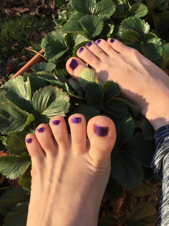 misstinytoes23:  Purple toes 💜 I put too many layers though and ended up scraping my big toe on a chair while taking these photos 😫 maybe I can fix it…