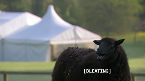 bleating