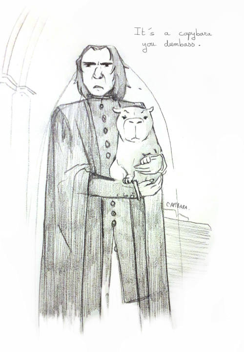 capysnapeart