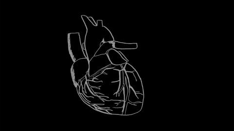 black and white pumping heart gif