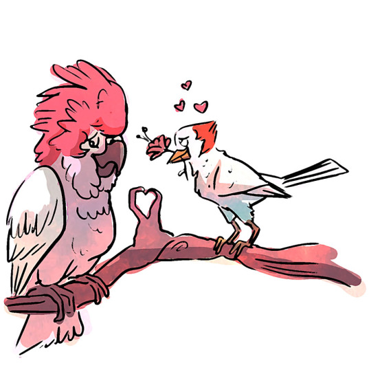 palezma:lovebirds you might recognize