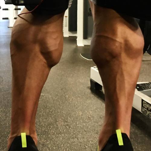 Johnny Doull