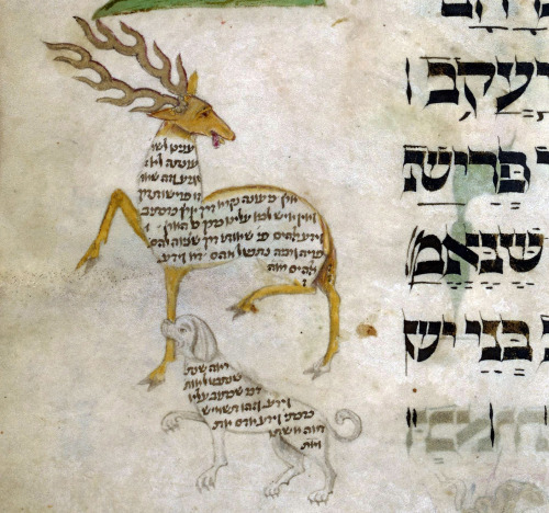 ellenkushner: barefootdramaturg: discardingimages: Haggadah deer and Haggadah dog carmen figuratum, 