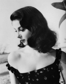 xxhorace:  Pier Angeli