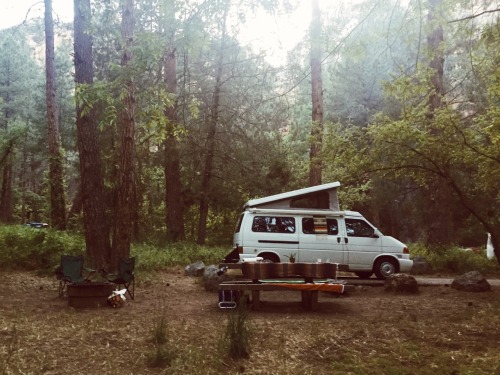 wakingupinnature:  Love Camping? Follow wakingupinnature!
