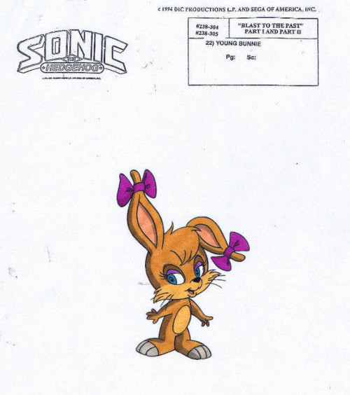 Concept art, model sheets, comic art, and render of Bunnie Rabbot from Sonic the Hedgehog.Album imgu