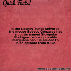 dailycoolfacts:  Quick Fact: In the Looney Tunes universe, the mouse Speedy Gonzales has… | For more info about this fact visit: http://ift.tt/2tWQ1jl