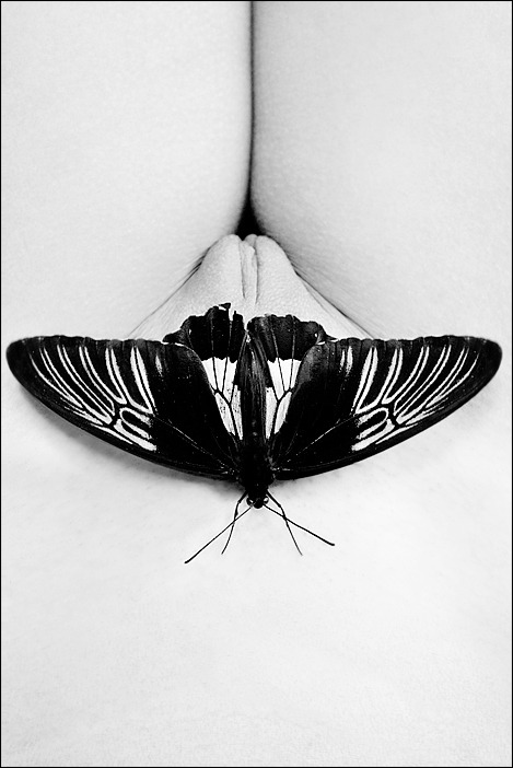 soie–noire:  Ho dipinto le mie ali di farfalla e, come aria,  nel tempo breve