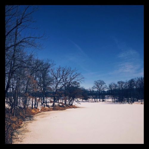 #minnesota #winter #landscapephotography #winterlandscape #landolakeshttps://www.instagram.com/p/C