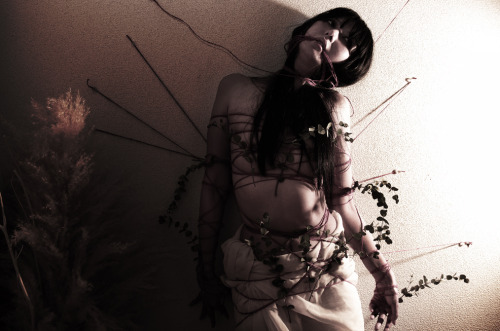 ghost000:  photo keikitamura 北村ケイ