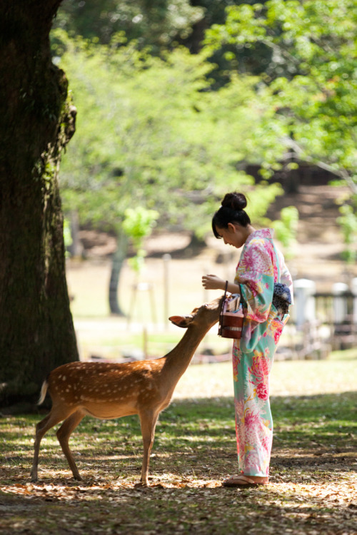 megazal:  ときめき (via shin’s eyes) 