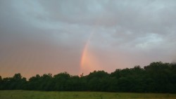 Spotted this driving after an evening storm