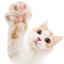 cottonfists