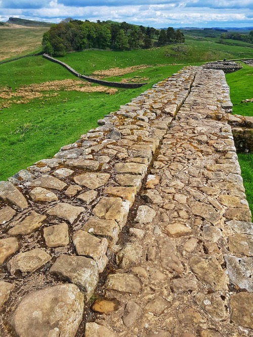 thesilicontribesman:Housesteads Roman Fort, Hadrian’s Wall, Northumberland, 13.5.18.