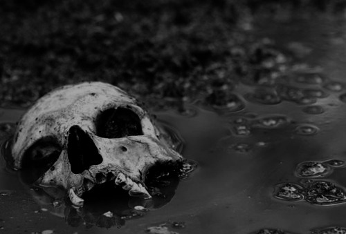 dark-recesses-of-the-soul:☽ dark, horror, eerie, macabre ☾   
