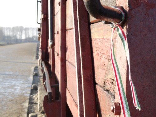 Auschwitz II Birkenau. The Railroad Spur and ramp. Freight car used to deport Jews from Hungary.