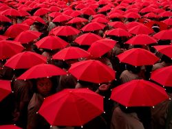 wrotten:Schoolchildren with Umbrellas in Taiwan by Jodi Cobb, via National Geographic