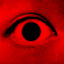 darkootrot