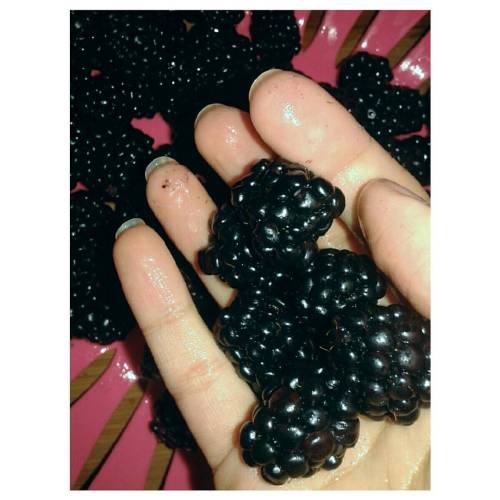 BlackBerries are my favorite ▫▫▫▫▫▫▫▫▫▫▫▫▫▫▫▫▫▫▫▫  ▫▫▫▫▫▫▫▫▫▫▫▫▫▫▫▫▫▫▫▫ #berries #nutrition #healthy