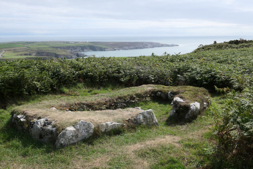Prehistoric Hut Circles, South Stack, nr. Holyhead, Anglesey, 14.8.18.A series of roundhouse foundat