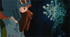 markhamillz:   All Time Favorite Movies: Nausicaä of the Valley of the Wind (1984)