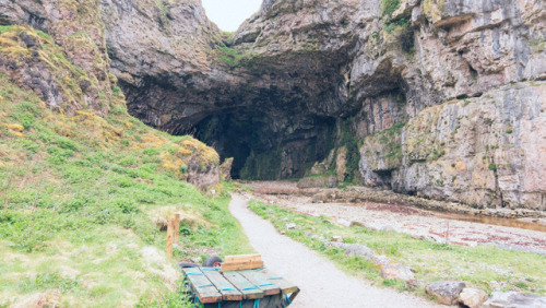 the-late-great-abigail-quinn:Scotland 2017 : Nature and GeologySiccar Point, the Quiraing,Tongue, Fa