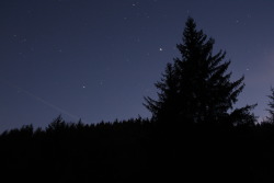 rfophotography:  Nightime in the Snake Woodland