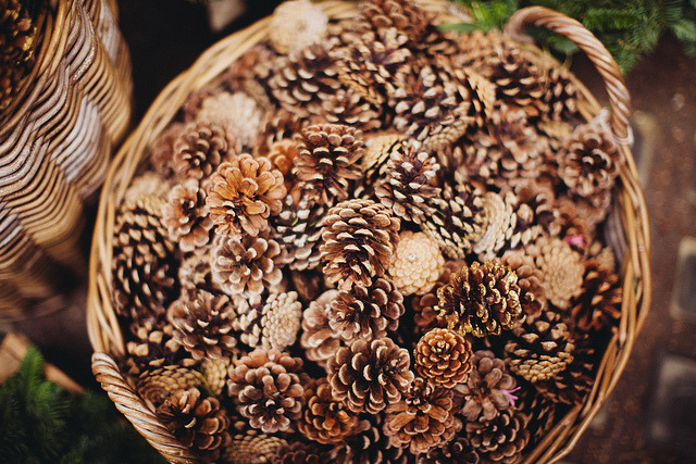 de-la-valliere:  Christmas in London by Carrie WishWishWish on Flickr. 
