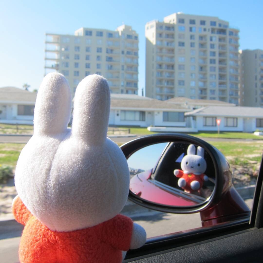 howareubread:http://instagram.com/adventurabbit