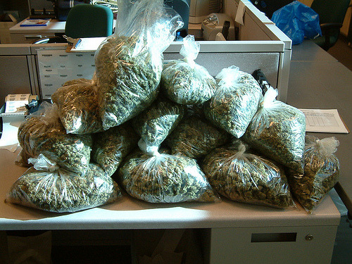 The Cannabis Queen