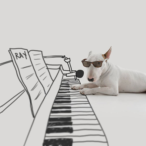 the-awesome-quotes:  My Wife Left Me With Nothing But A Dog, So I Started This Fun