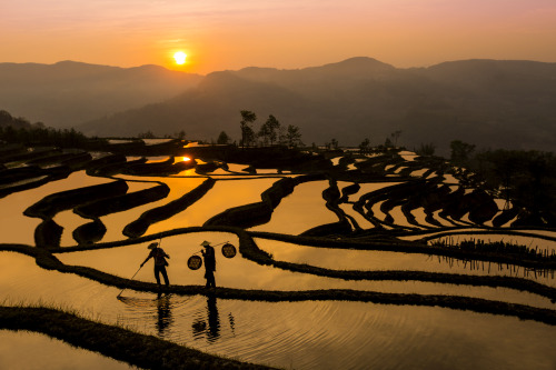 smithsonianmag:  Photo of the Day: Rice Terrace Sunset Two farmers hunt for frogs at sunset. Photo b