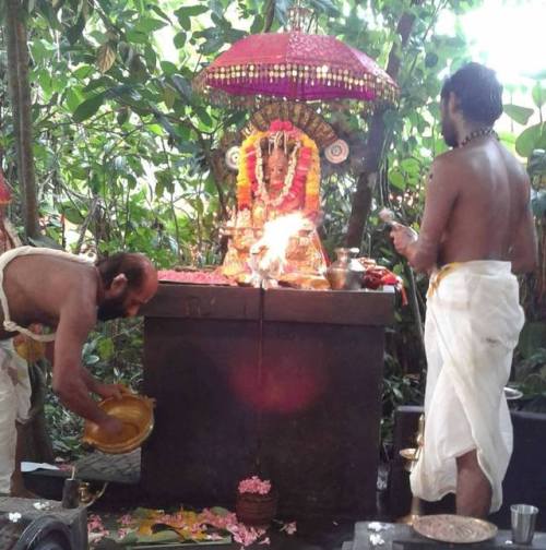 Nagini worship, Kerala