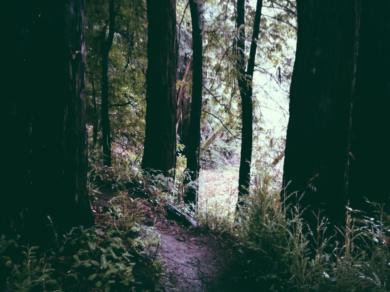leaberphotos:  out &amp; about when it rains ( jan 2016 ) 