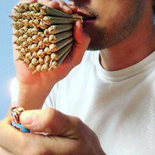 potdiscoveries:  sativa