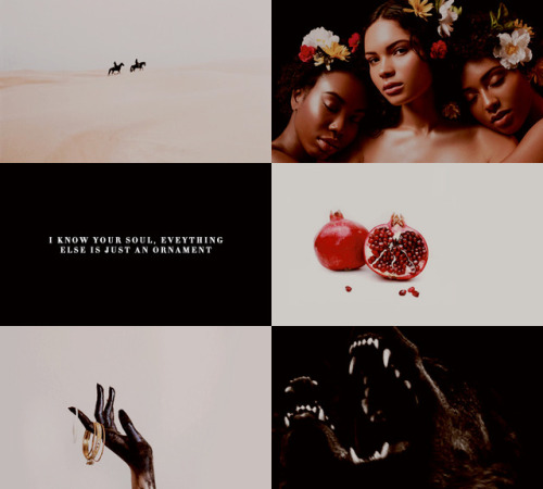 stormbornseas: READ IN 2018 || the star-touched queen  No matter where we are, we’ll alwa