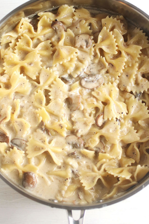 verticalfood:Creamy Mushroom Pasta