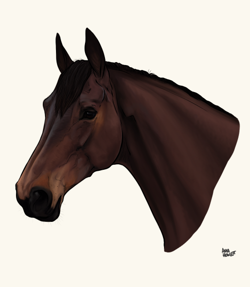 Commission for the fantastic mooseings of her trainer&rsquo;s horse, Cincinnati. I think you&