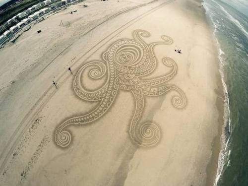 steampunktendencies:Giant Octopus Drawn on a beach Steampunk Tendencies [ Twitter | Instagram | Face