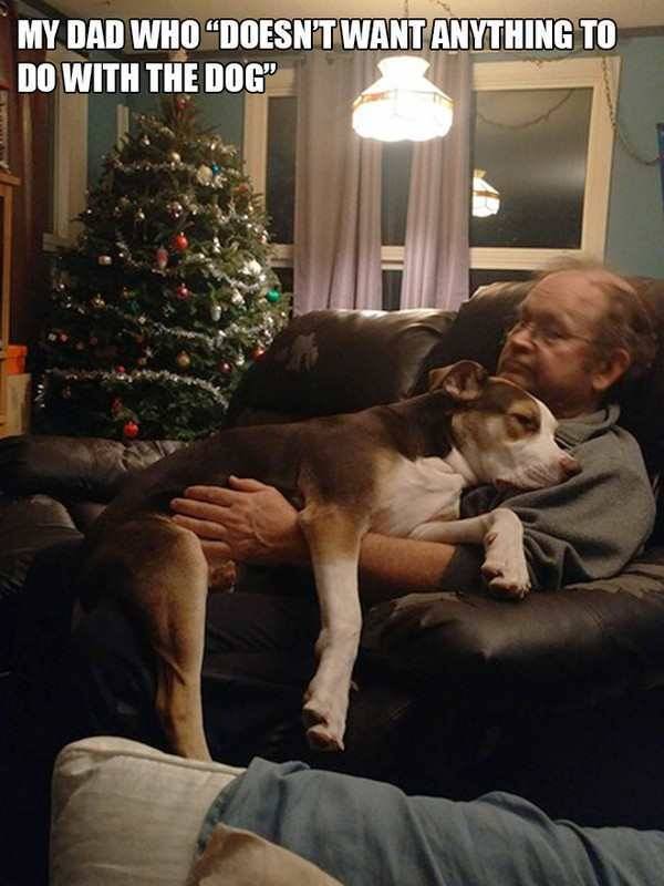 pr1nceshawn:It’s Impossible Not To Fall In Love With Dogs.