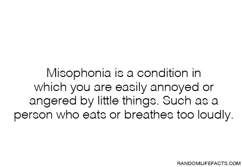 psychofactz:  More? 