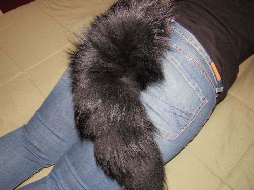 My tails I got from over the years!