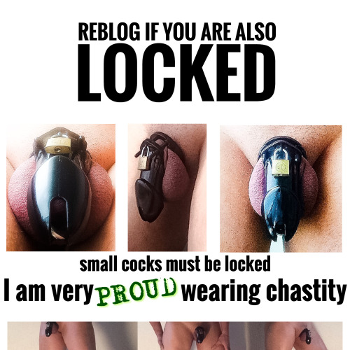 suebuf: diablo-dog-in-chastity:  cum4manny: Currently locked Yes, absolutely proud!  Are you locked 