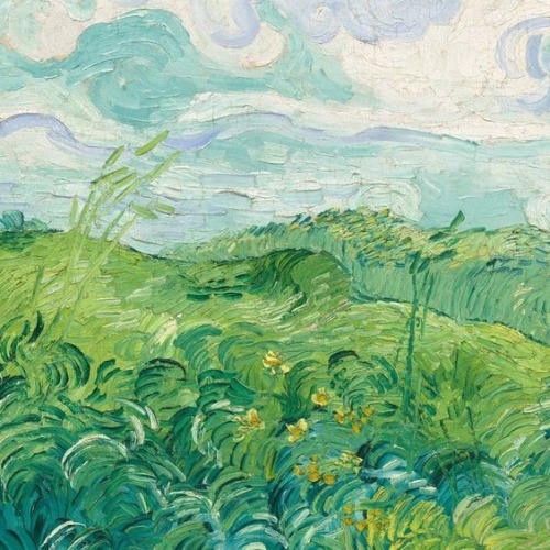succulove:Gogh green