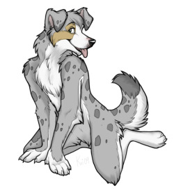 sparklepawz: Un-named merle collie - by keihound