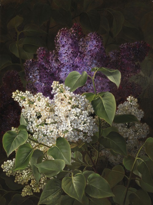 Johan Laurentz Jensen (1800-1856 )A bouquet of lilacs, 1845