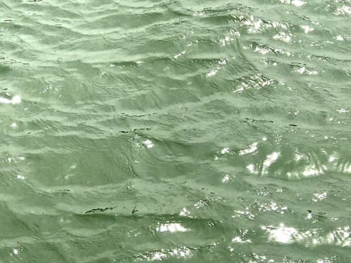  green water aesthetic // aesthetic dream 