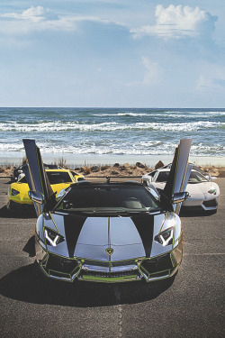 visualechoess:  Aventador quintet | VE 